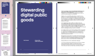 digital public goods essay