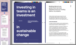 image of pandu's essay 'investing in teams is an investment in sustainable change' from the pdf of the proof